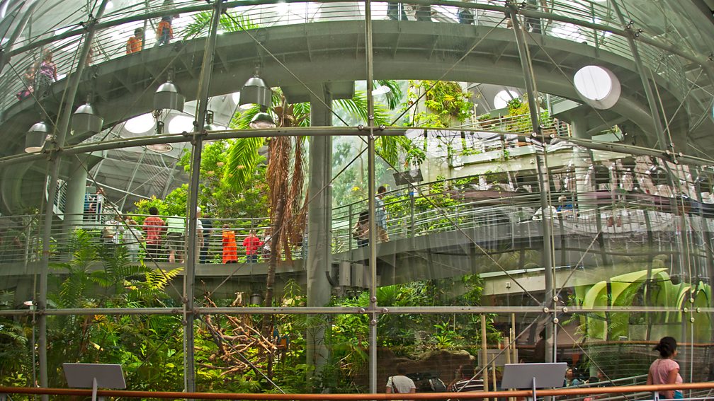 Nancy Hoyt Belcher/Alamy The Osher Rainforest inside the California Academy of Sciences is a sight to behold (Credit: Nancy Hoyt Belcher/Alamy)